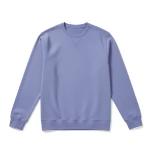 Men Sponge Fleece Classic Crewneck Sweatshirt